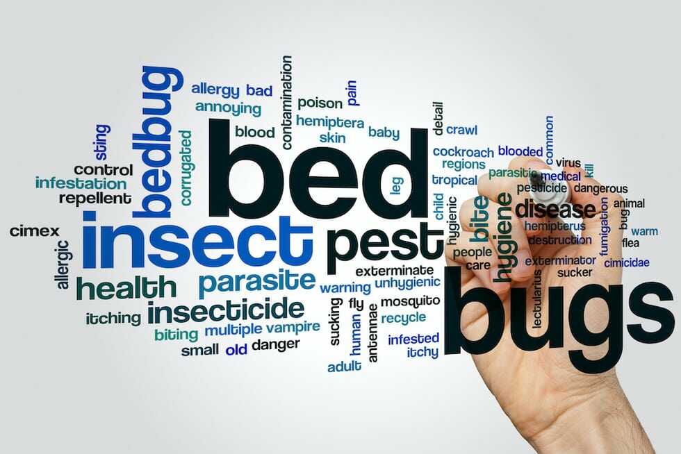 bedbug 20lawsuits 20moet 20ontario