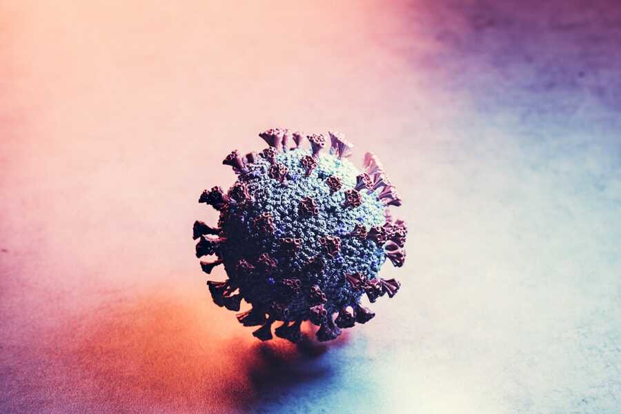 coronavirus covid 19 cell covid covid19 pandemic